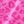 Hot Pink Leopard