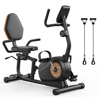 Recumbent Exercise Bike for Home，Magnetic Staionary Bike for Seniors/Adults with Adjustable Seat