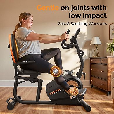 Yosuda Recumbent Exercise Bike for Home，Magnetic Staionary Bike for Seniors/Adults