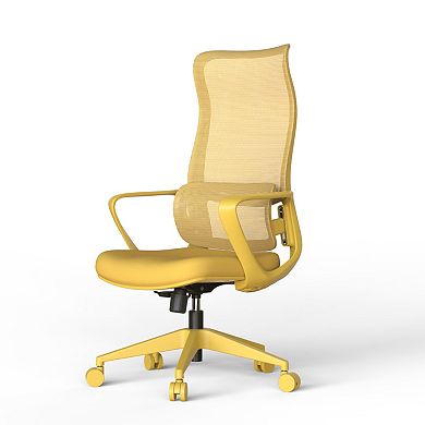 Ergonomic Mesh Office Chair 300lb Adjustable Lumbar Support, Breathable High Back Computer Chair