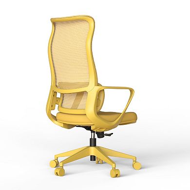 Ergonomic Mesh Office Chair 300lb Adjustable Lumbar Support, Breathable High Back Computer Chair