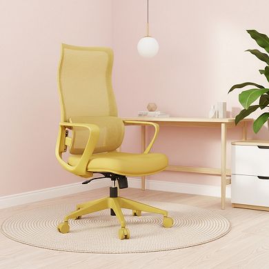 Ergonomic Mesh Office Chair 300lb Adjustable Lumbar Support, Breathable High Back Computer Chair