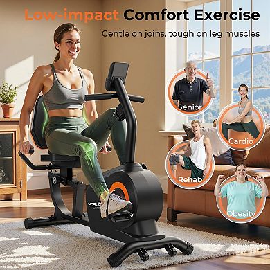Yosuda Recumbent Exercise Bike for Home，Magnetic Staionary Bike for Seniors/Adults