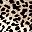 Leopard Print