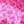Pink Leopard Print