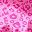 Pink Leopard Print