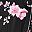 Black Pink Flowers