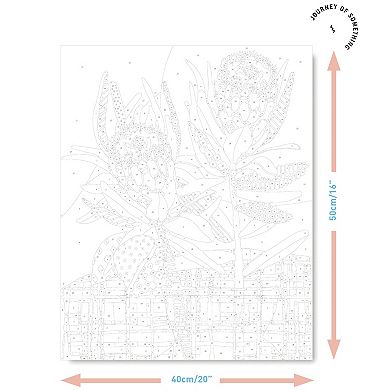 Journey of Something Paint By Numbers Two Proteas Craft Kit