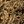 Brown Sugar Paisley