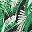 Green Palm Leaves