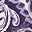 Midnight Violet