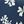 Navy Tossed Blossoms
