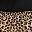 Leopard Brown