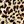 Apricot Leopard Print