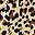 Apricot Leopard Print