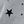 Grey Black Star