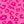 Hot Pink Leopard
