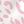 Pink Leopard