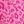 Hot Pink Leopard