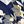 Navy Blue Gray