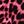 Deep Pink Leopard