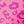 Pink Leopard