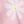 Floral Pink