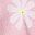 Floral Pink