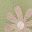 Green Flower