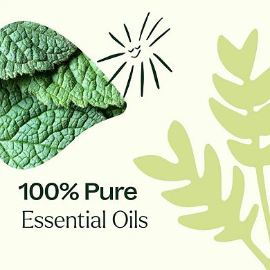 Plant Therapy Pain Support Essential Oil Blend Roll On 3 Set