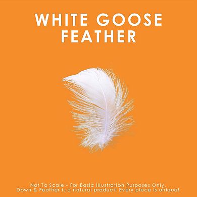 2 Pack White Goose Feather Pillows - Firm Support