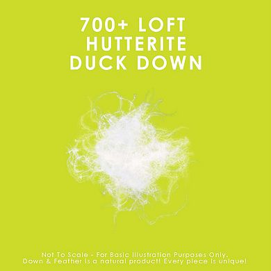 Hutterite White Down Duvet - All Season Weight