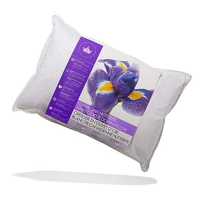 2 Pack Hutterite Goose Down Pillows - Soft Support