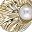 Ocean Mini Pearl Shell