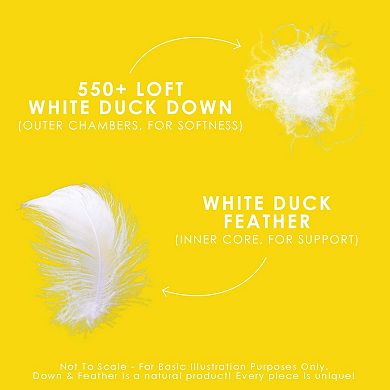 2 Pack Down Perfect™ White Feather & Down Pillows - Medium Support