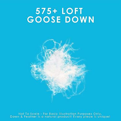 2 Pack White Goose Down Pillows - Firm Support