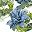 Blue Flower