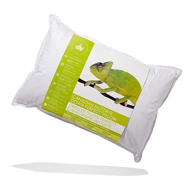 Hutterite Down Perfect™ Pillow - Medium Support