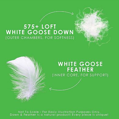 2 Pack Down Perfect™ Pillows - Firm Support