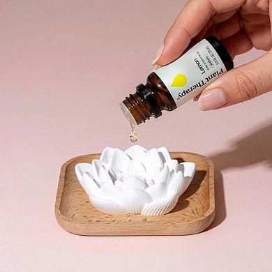 Plant Therapy Passive Lotus Essential Oil Diffuser