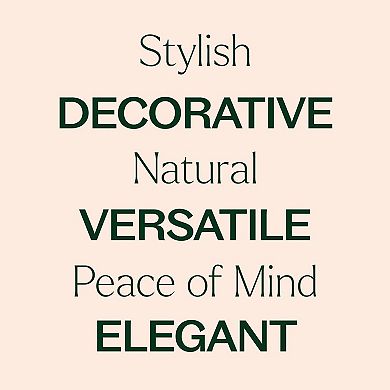 Plant Therapy Drift Linen Essential Oil Diffuser