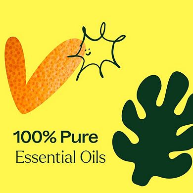 Plant Therapy Tropical Scents Home 3 Essential Oil Set