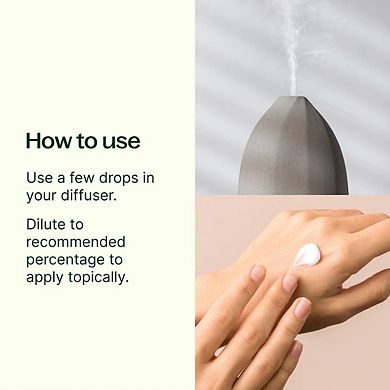 Plant Therapy Tropical Scents Home 3 Essential Oil Set