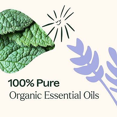 Plant Therapy Top 3 Organic Essential Oil Singles Set