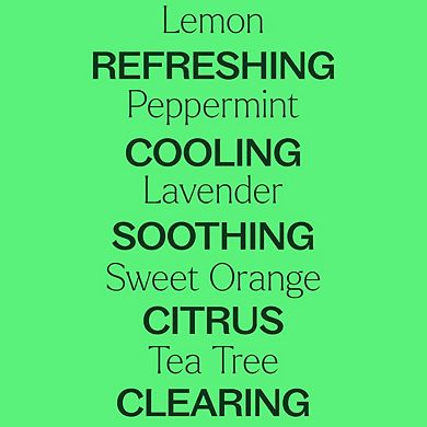 Plant Therapy Top 14 Organic Essential Oil Singles Set