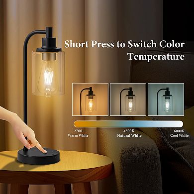 C Cattleya 2-Pack 16-Inch 3CCT Dimmable Cordless Table Lamp with ST64 Led Bulbs and Remote Control