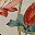 Birds And Floral