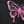 Black Butterfly