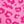 Pink Leopard