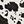 Black Taupe Blend